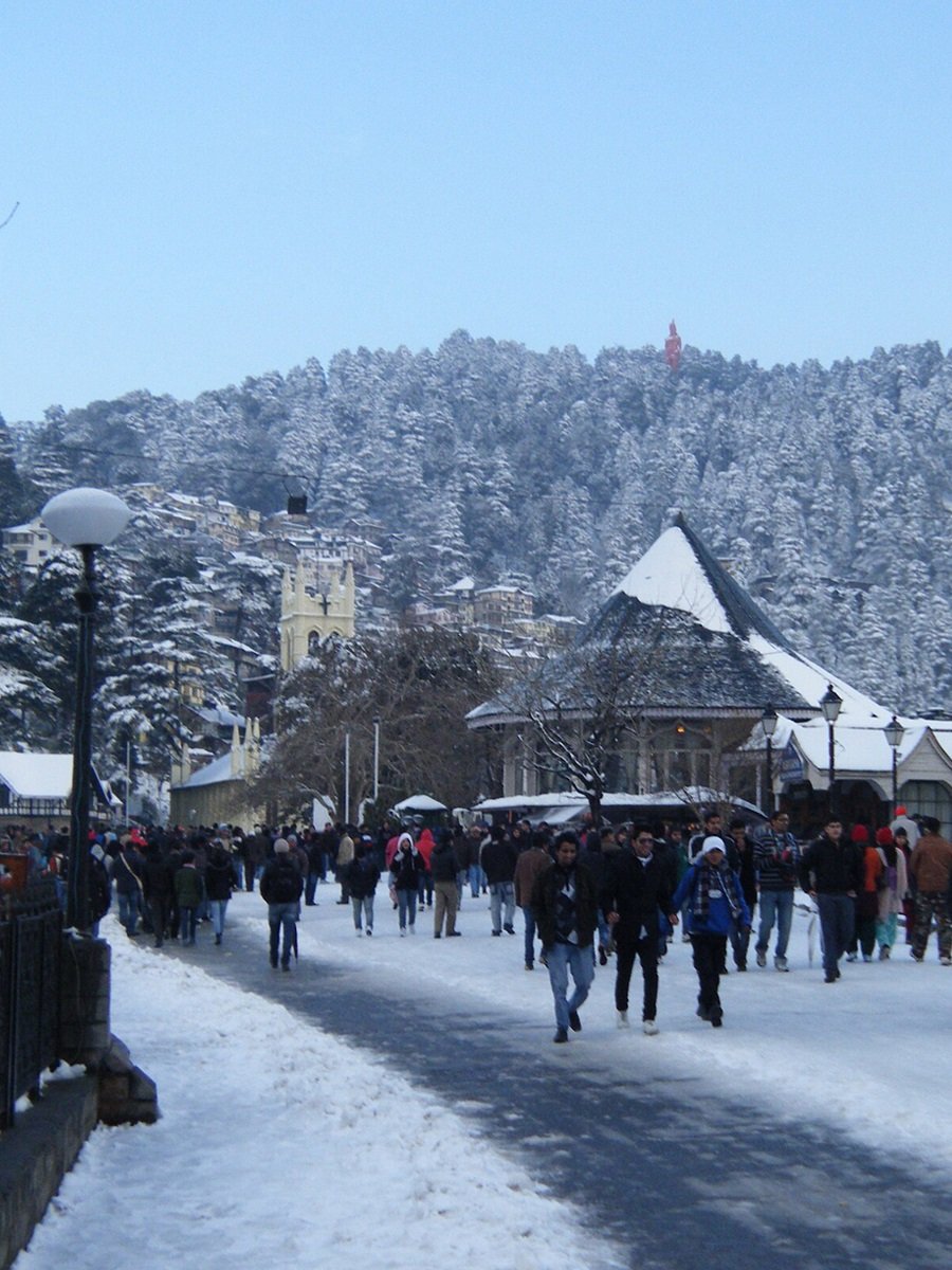 The Premium By Dusk N Dawn