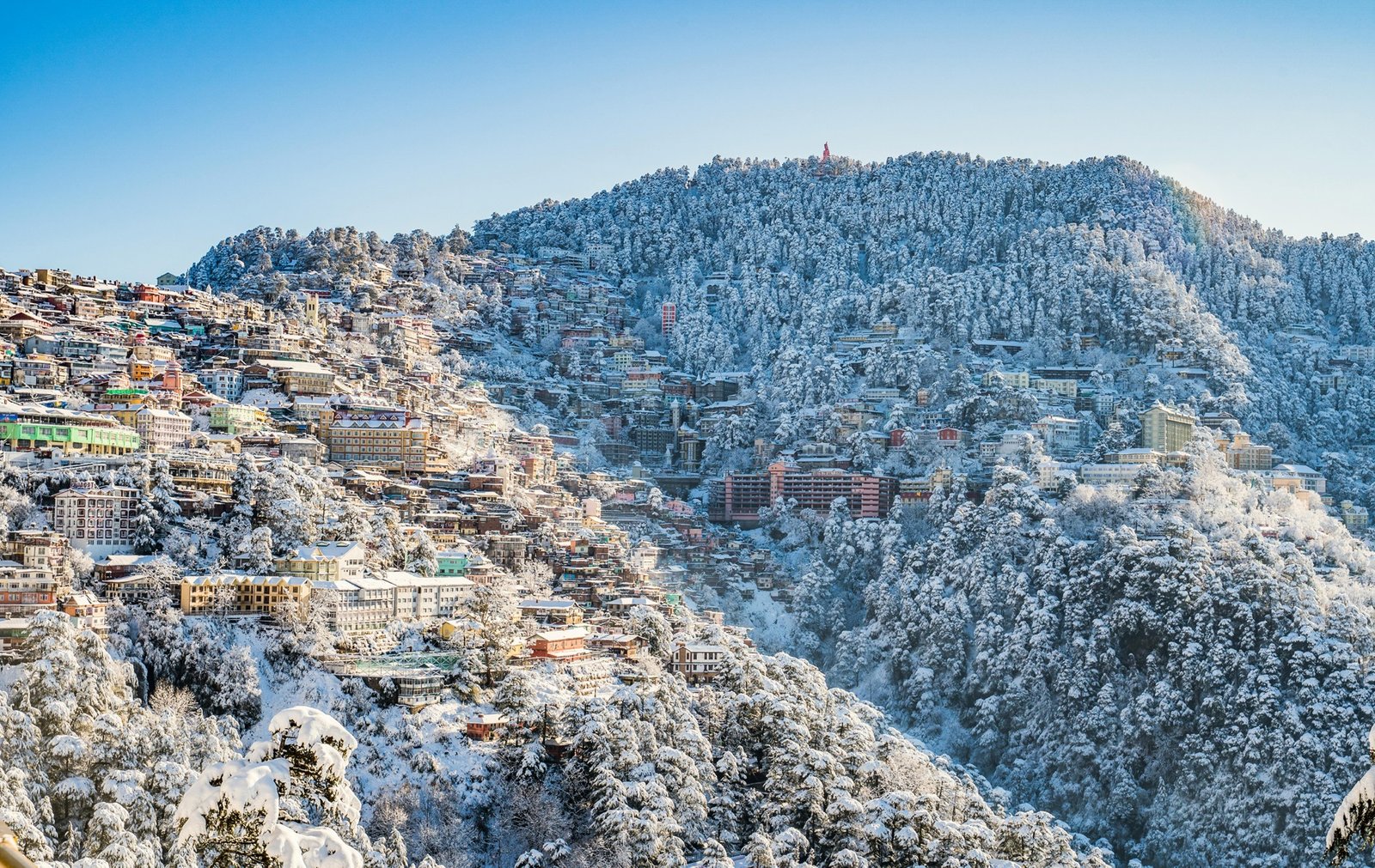 The Premium By Dusk N Dawn